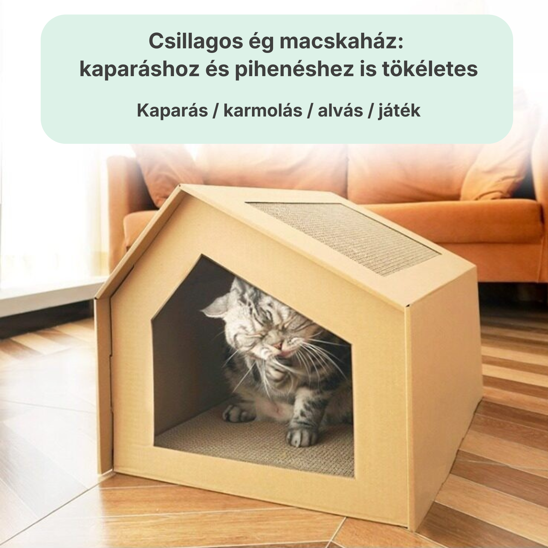 Catzy Chillin Box - Karton Macska Kuckó Kaparóval
