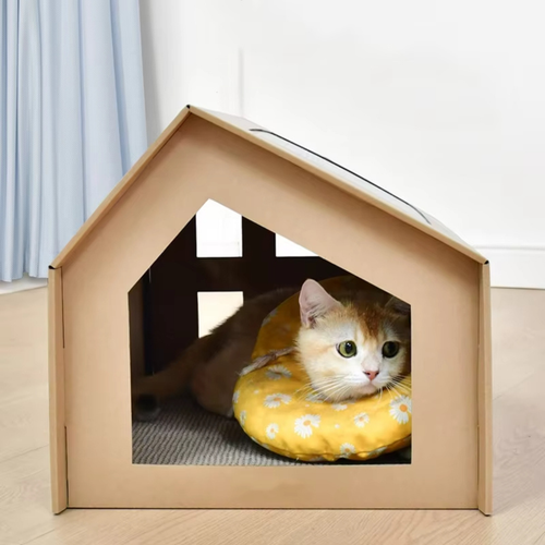 Catzy Chillin Box - Karton Macska Kuckó Kaparóval