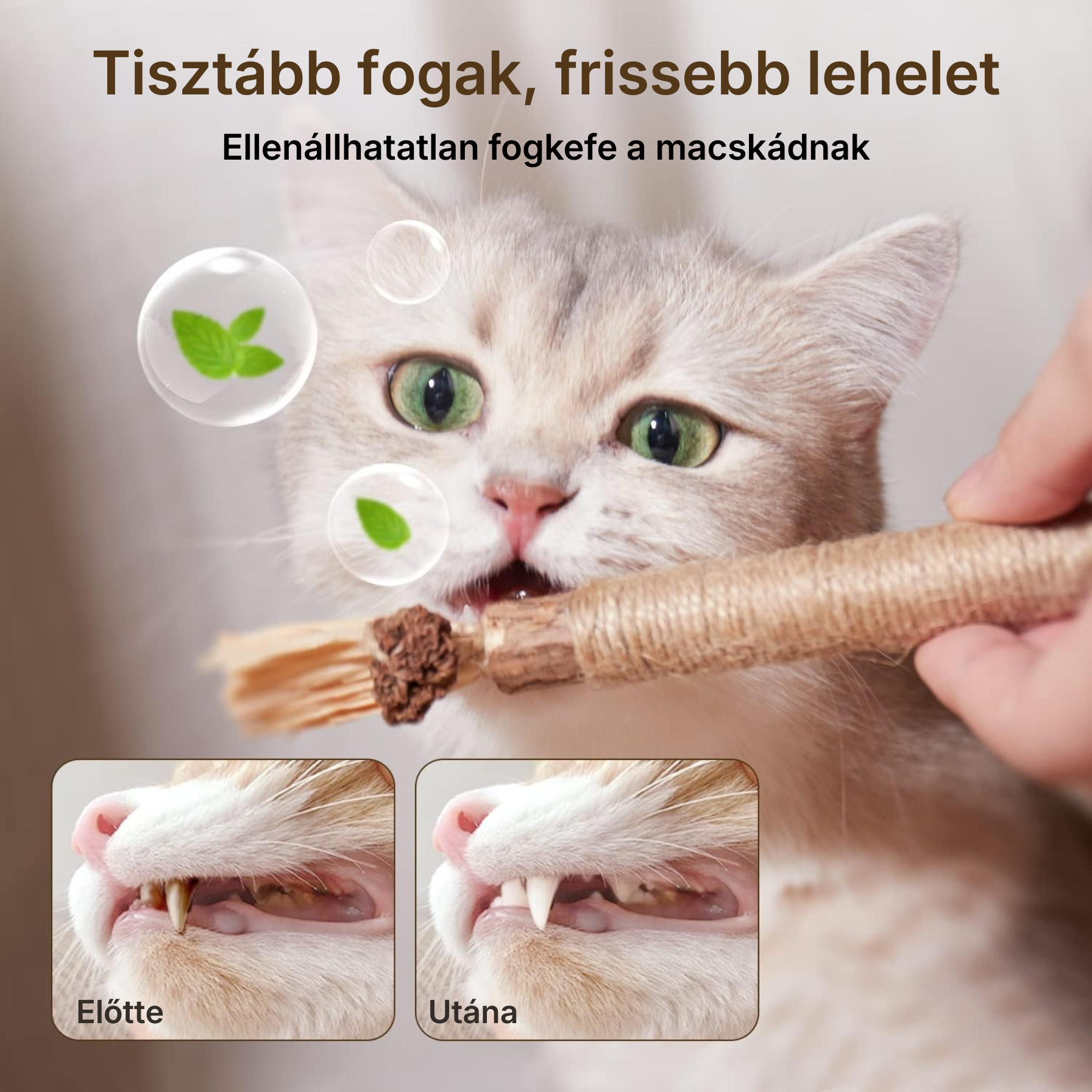 Catzy Dental Pro – Természetes Matatabi Fogtisztító Macskajáték