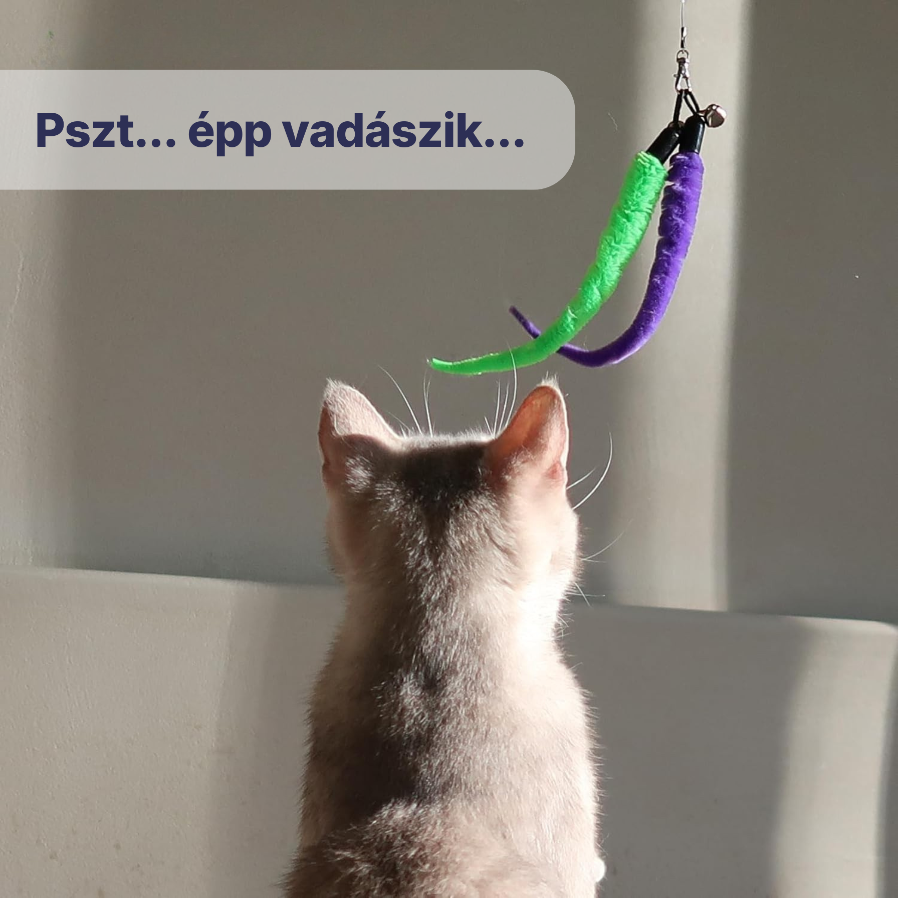 PurrHunter - Interaktív tollas pálcás vadász macskajáték