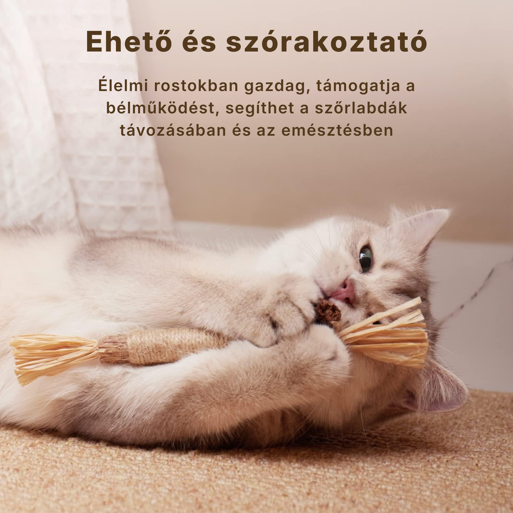 Catzy Dental Pro – Természetes Matatabi Fogtisztító Macskajáték