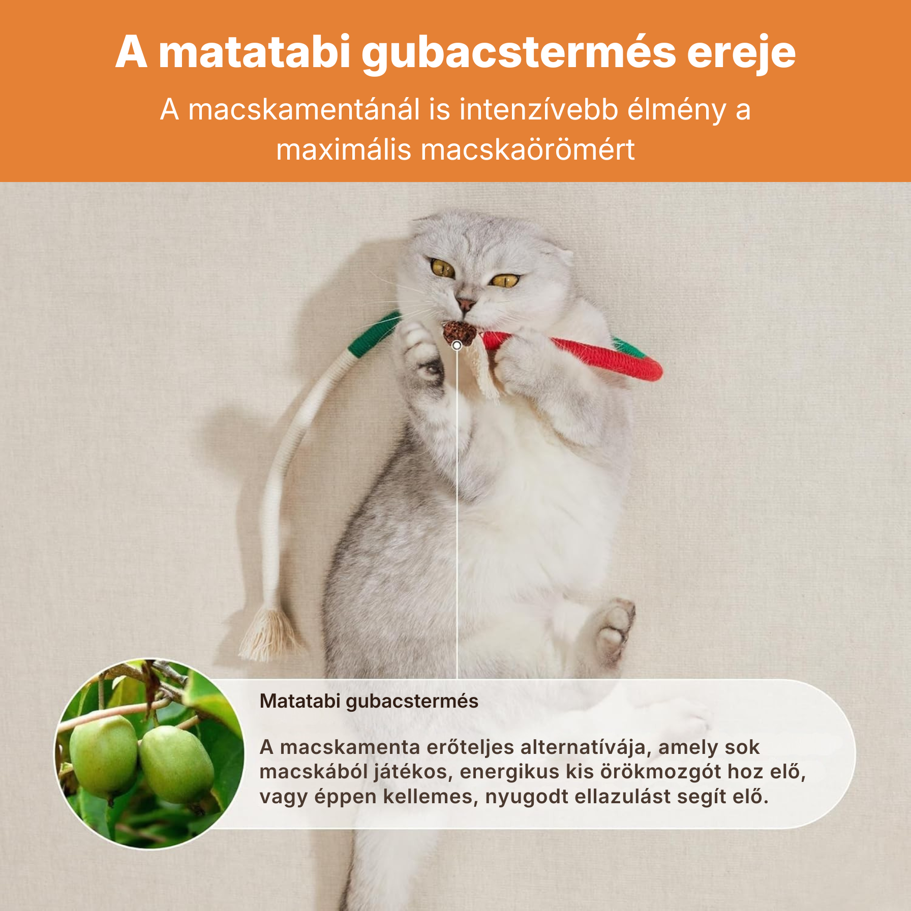 Catzy Dental - Fogtisztító és Stresszoldó Interaktív Macskajáték