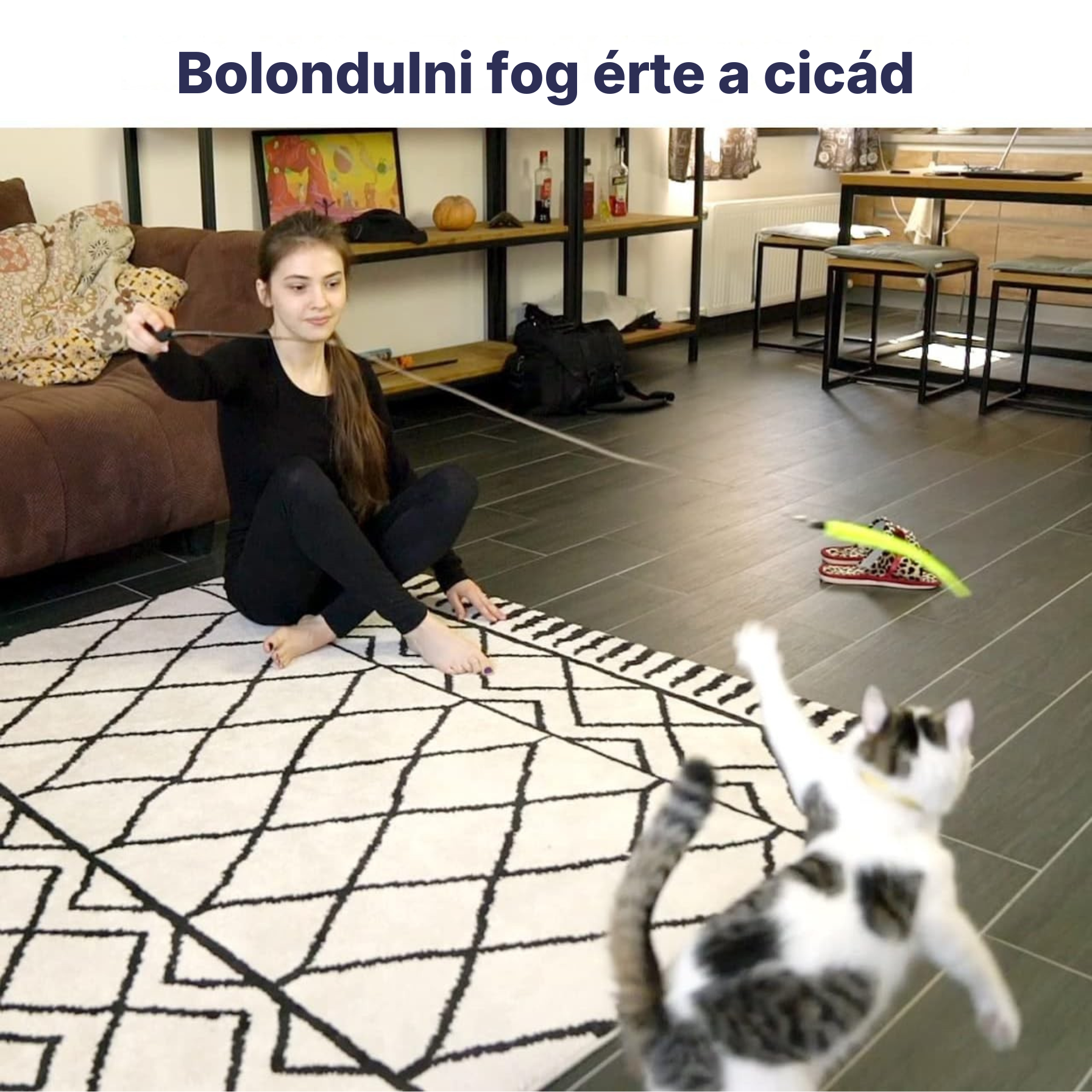 PurrHunter - Interaktív tollas pálcás vadász macskajáték