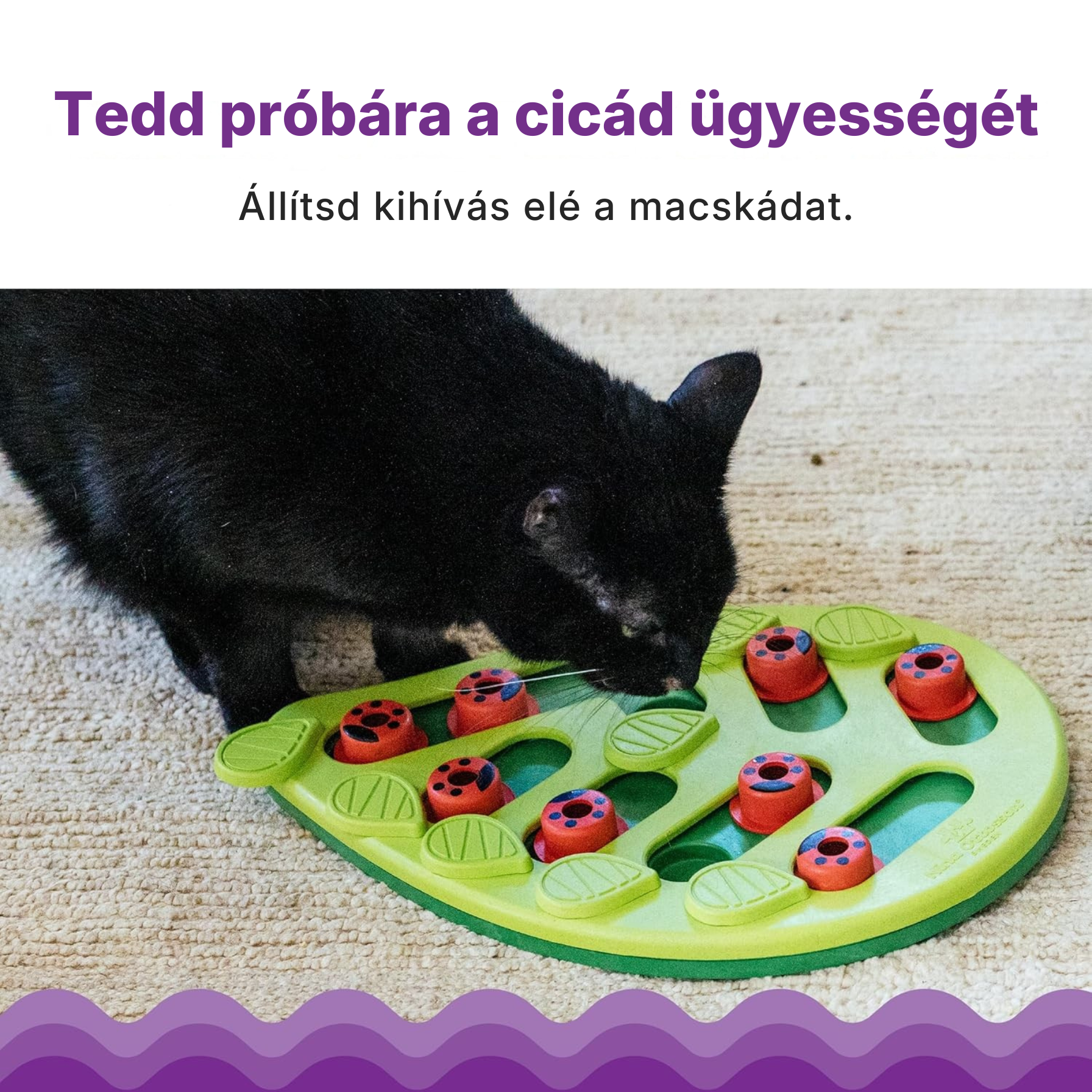 Catzy IQ Puzzle – Interaktív Jutalomfalat Kereső Macskajáték