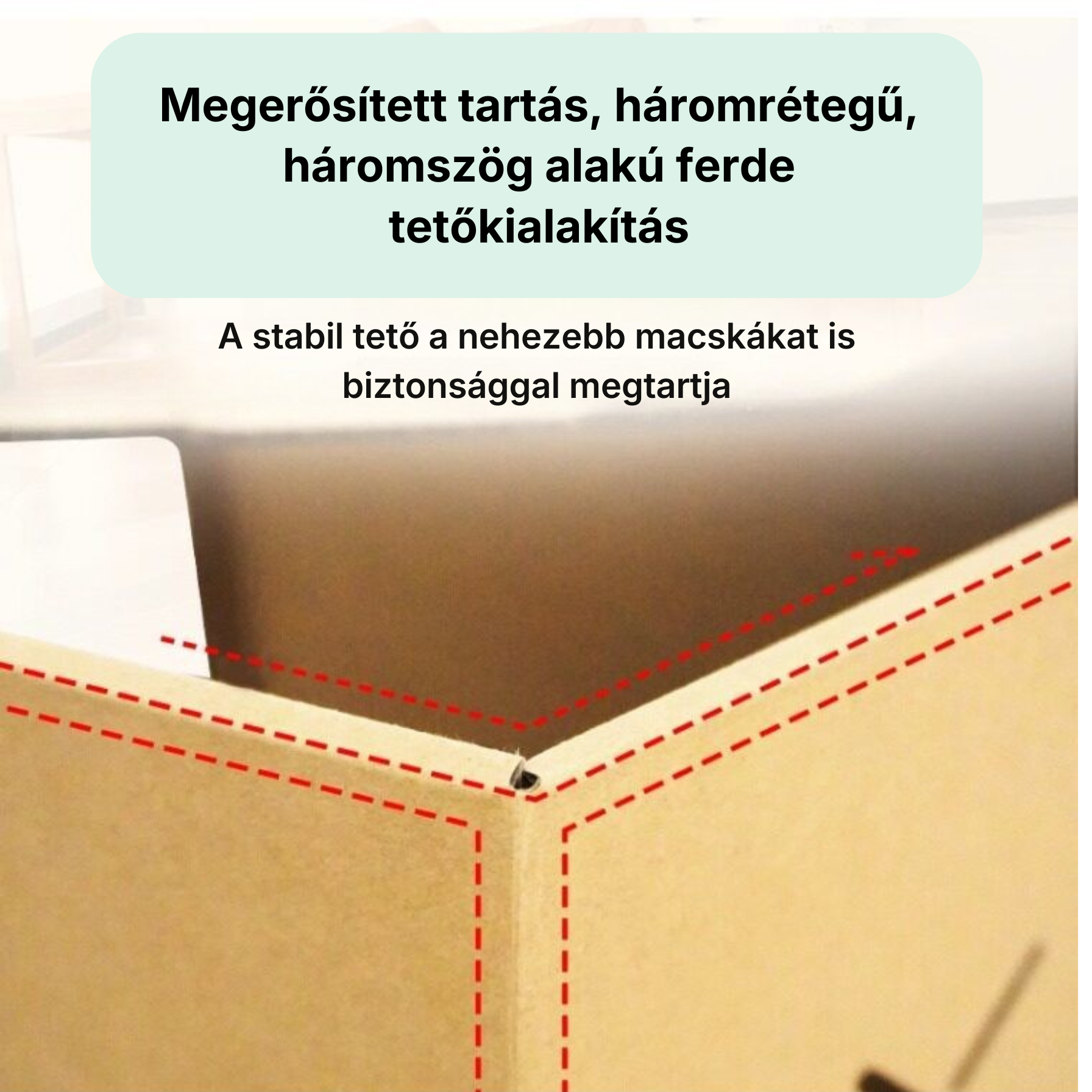 Catzy Chillin Box - Karton Macska Kuckó Kaparóval
