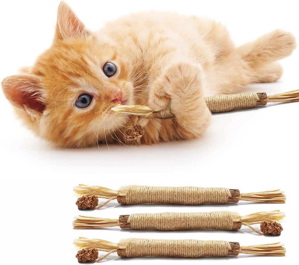 Catzy Dental Pro – Természetes Matatabi Fogtisztító Macskajáték