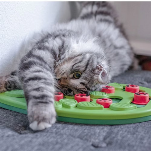 Catzy IQ Puzzle – Interaktív Jutalomfalat Kereső Macskajáték